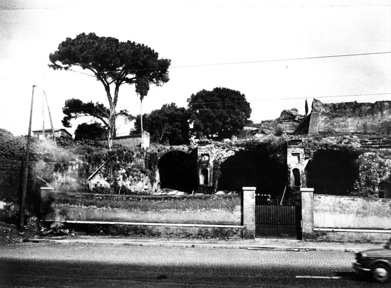 VC-SP007-asf008998.jpg