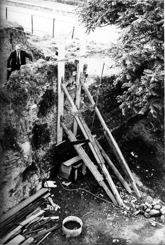 VC-SP008-asf009000.jpg