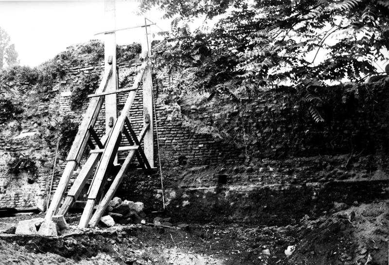 VC-SP009-asf009002.jpg