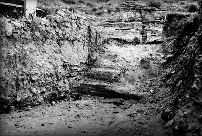 VC-SP011-asf009006.jpg