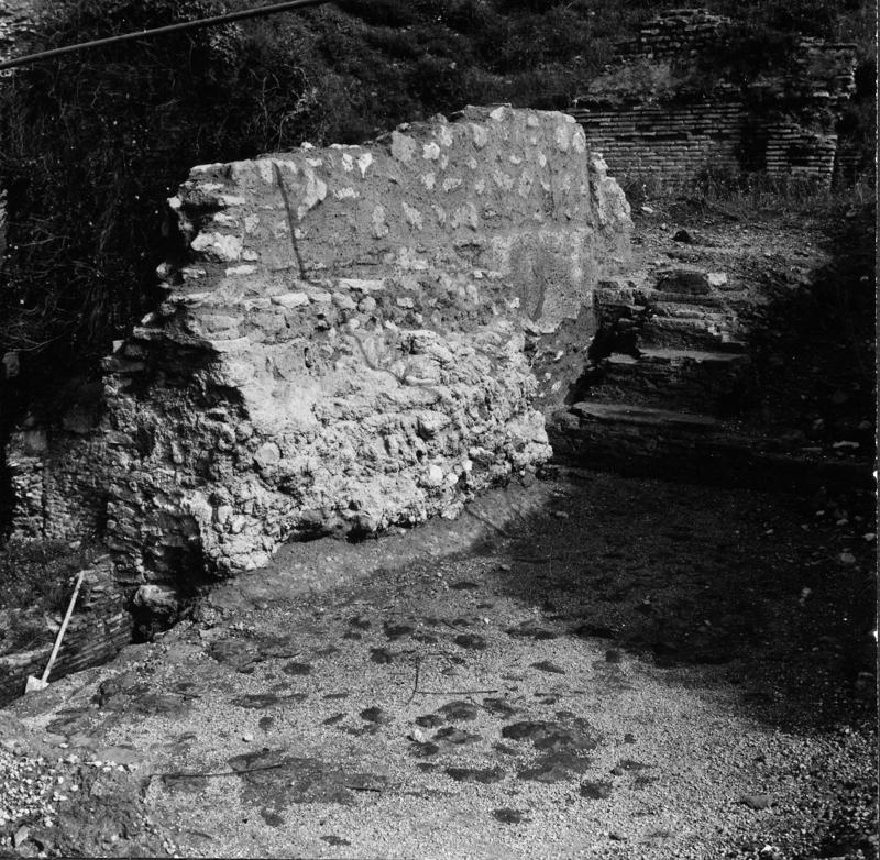 VC-SP013-asf009008.jpg