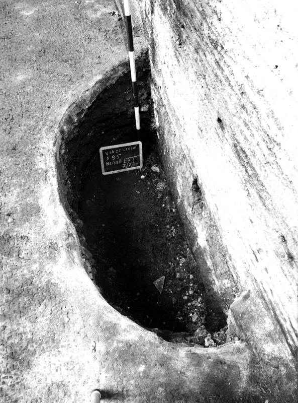 VC-SP022-asf009017.jpg