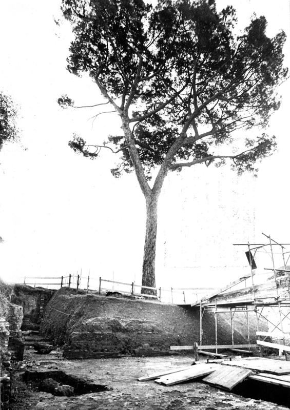 VC-93074-asf008657.jpg