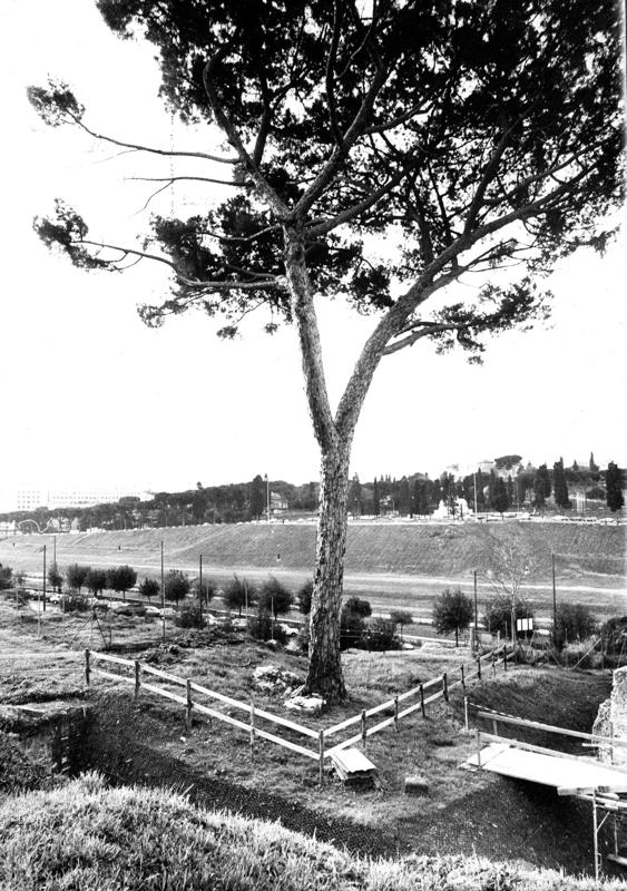 VC-93074-asf008658.jpg