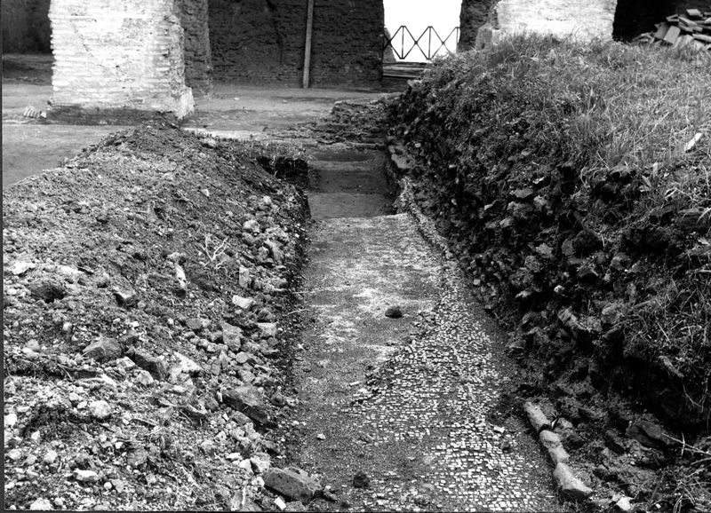 001509 - scavo archeologico - Muro divisorio su precedente mosaico
