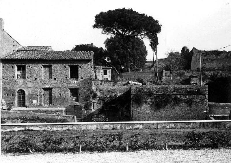 VC013-asf008772.jpg