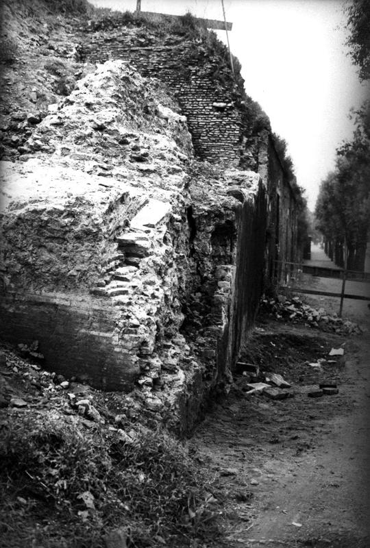 VC025-asf008785.jpg