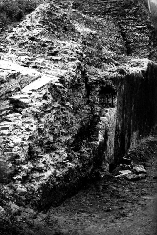 VC025-asf008786.jpg