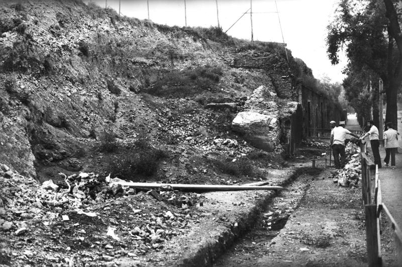 VC026-asf008788.jpg
