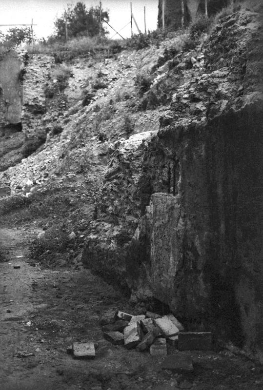 VC027-asf008789.jpg