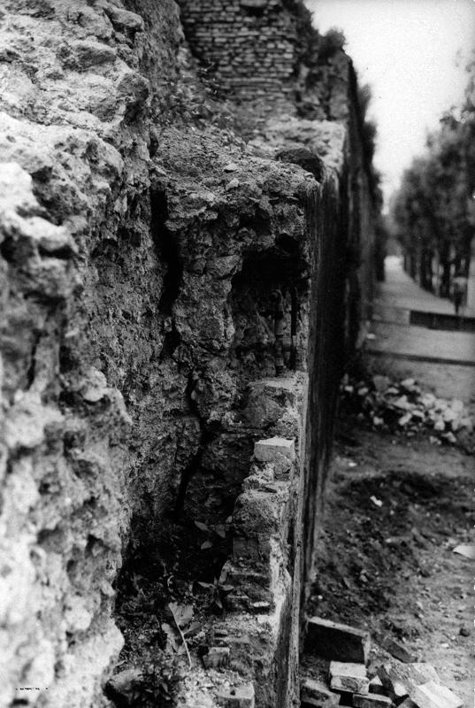 VC027-asf008790.jpg