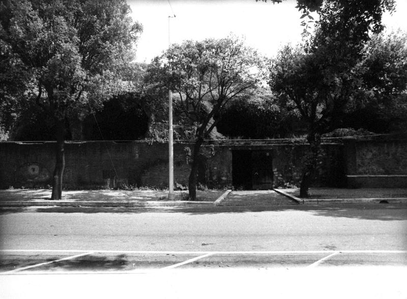 VC029-asf008792.jpg