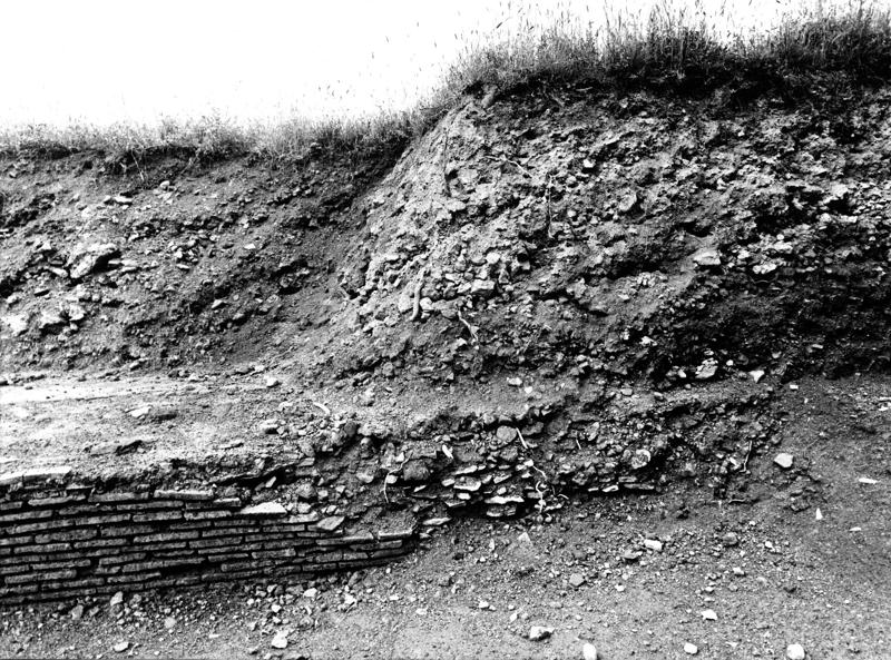 VC032-asf008795.jpg