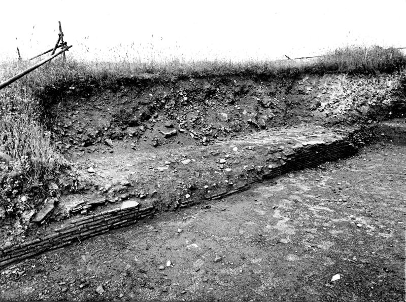 VC033-asf008796.jpg