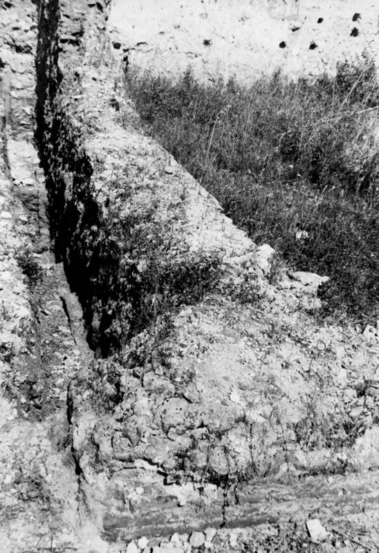 VSG-APV012-asf008833.jpg