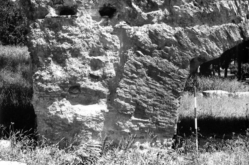 VSG-A060-asf008945.jpg