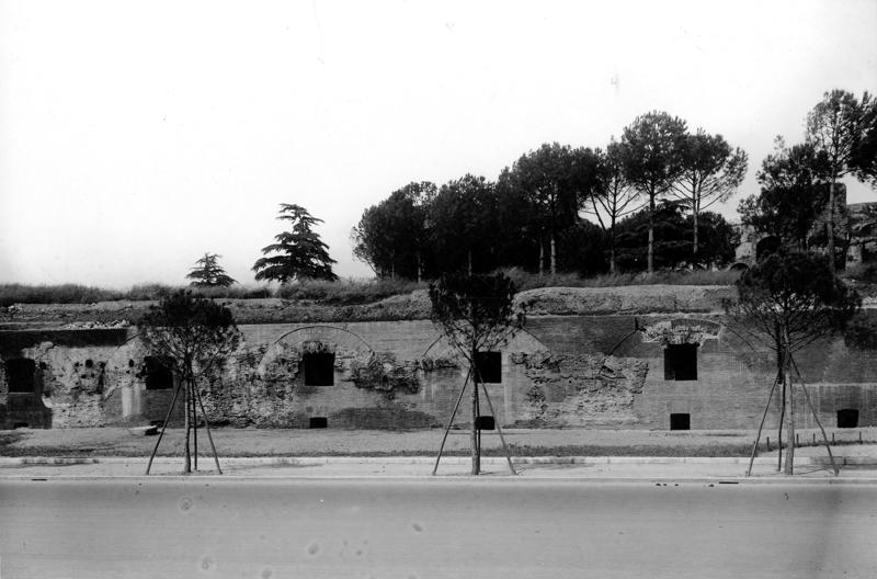 VSG-AS012-asf008971.jpg