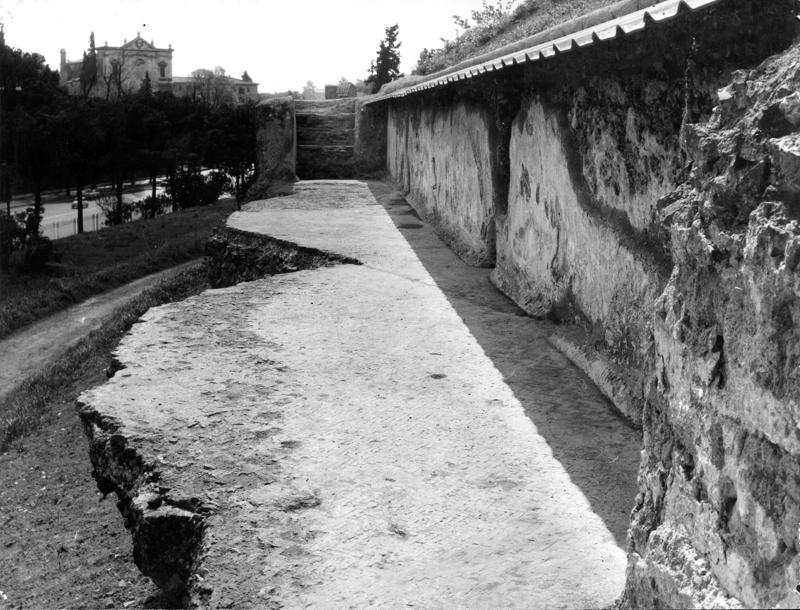 P002-asf008974.jpg
