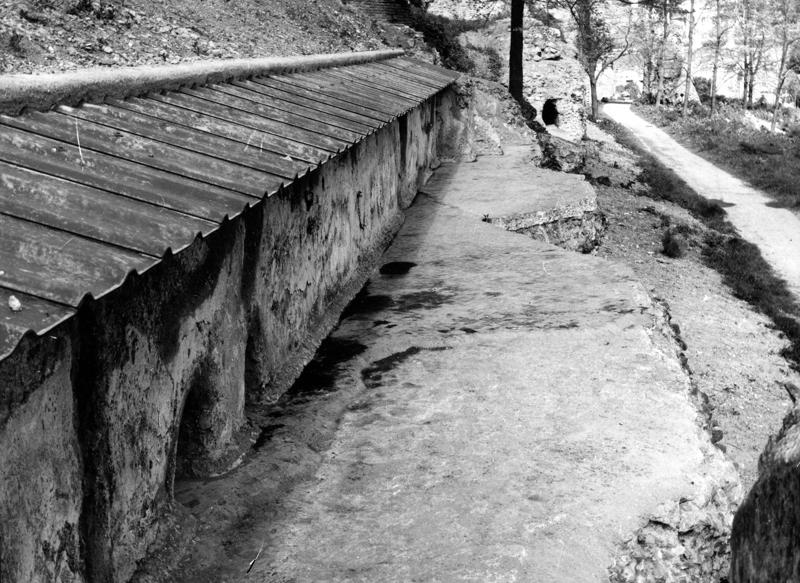 P004-asf008976.jpg