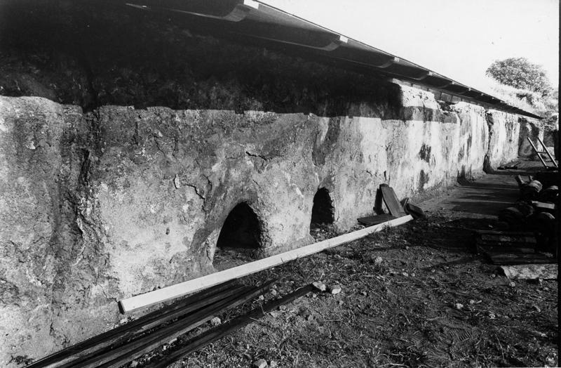 P005-asf008978.jpg