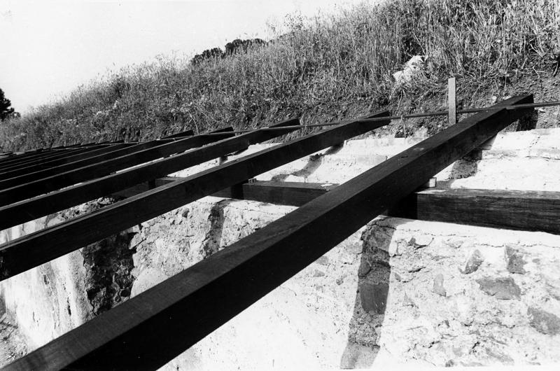 P006-asf008980.jpg