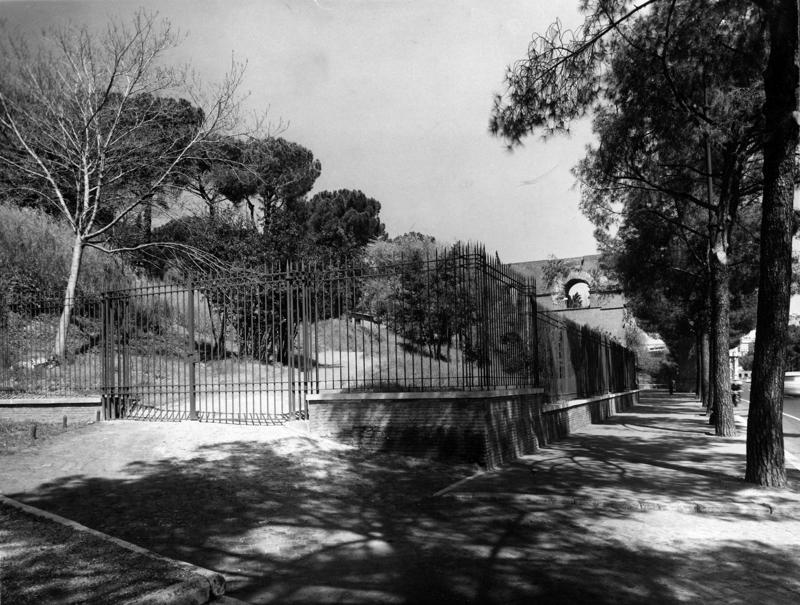 VSG-R006-asf008987.jpg