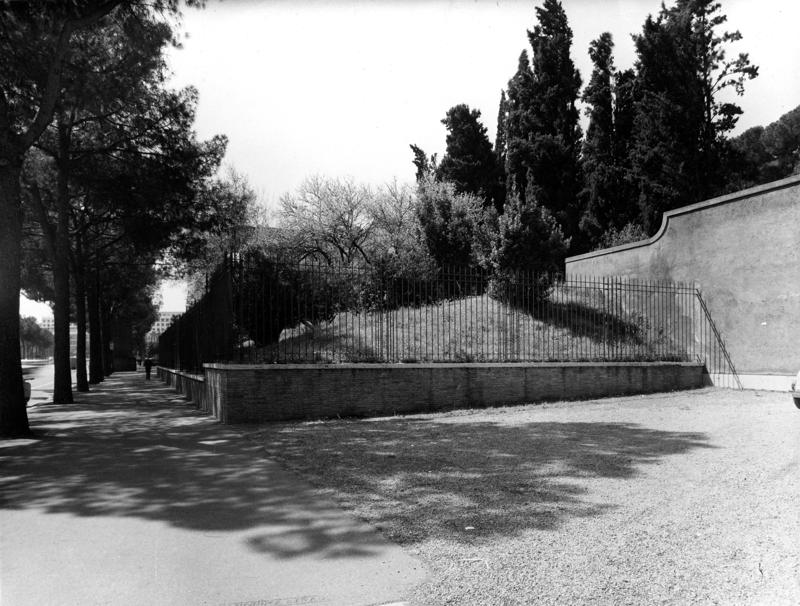 VSG-R008-asf008989.jpg