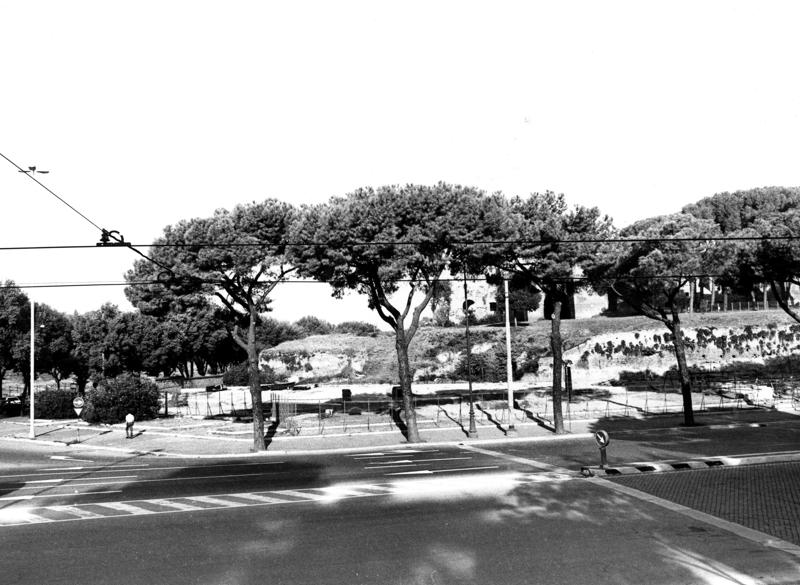 VSG-S009-asf009045.jpg