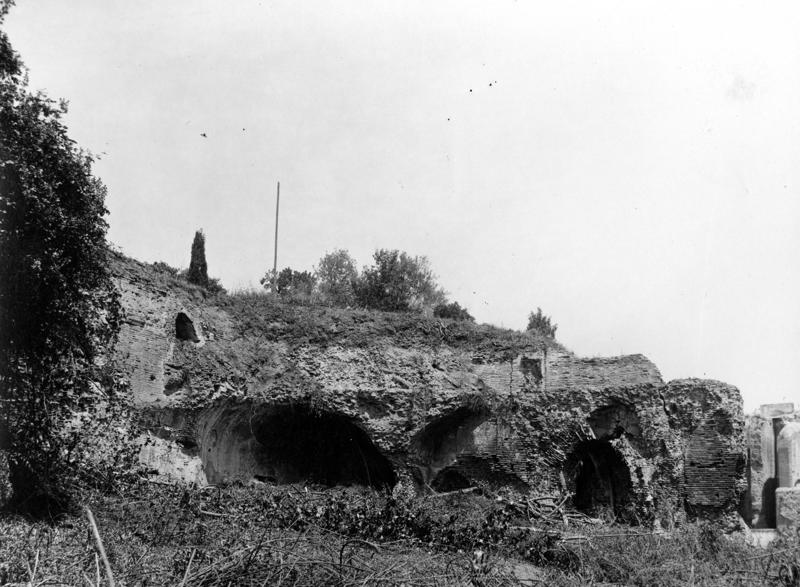 SAE003-asf009054.jpg