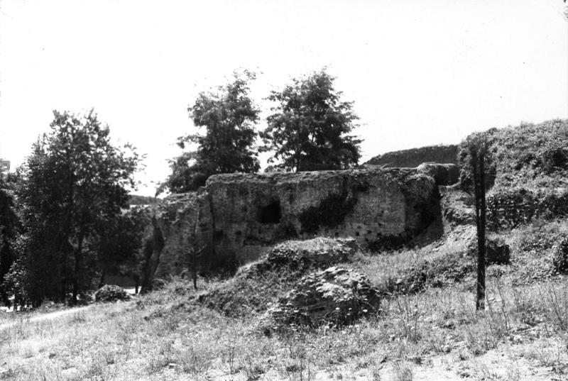 SAE016-asf009074.jpg