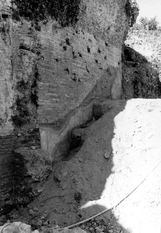 SAE016-asf009073.jpg