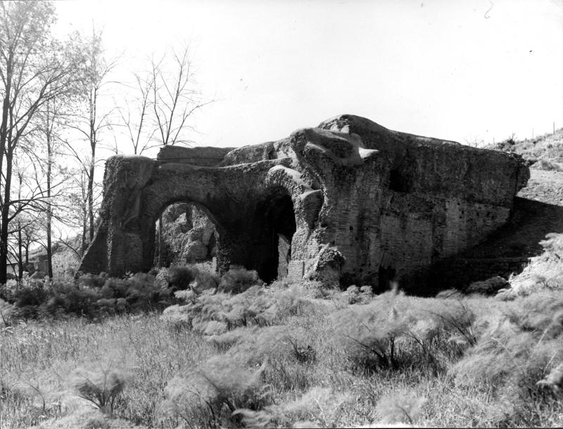 SAE019-asf009079.jpg