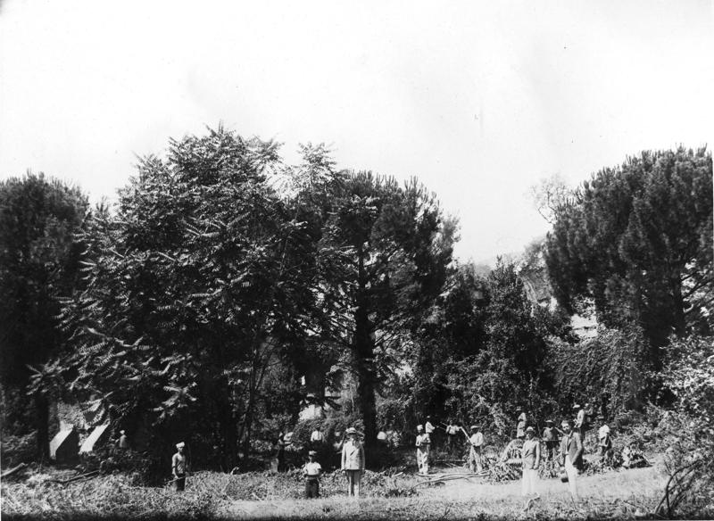 VSG002-asf009081.jpg