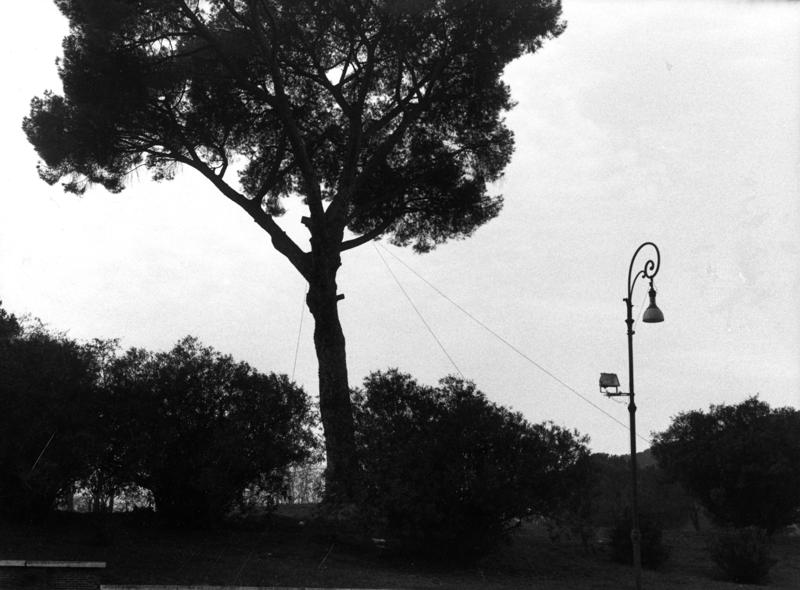 VSG012-asf009091.jpg