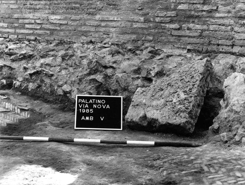 VN-V008-asf009123.jpg