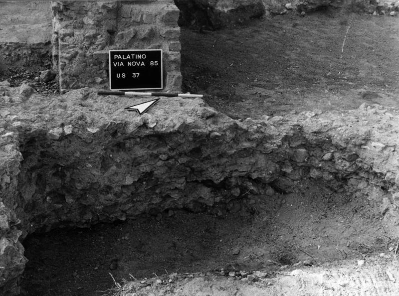 VN-V015-asf009130.jpg