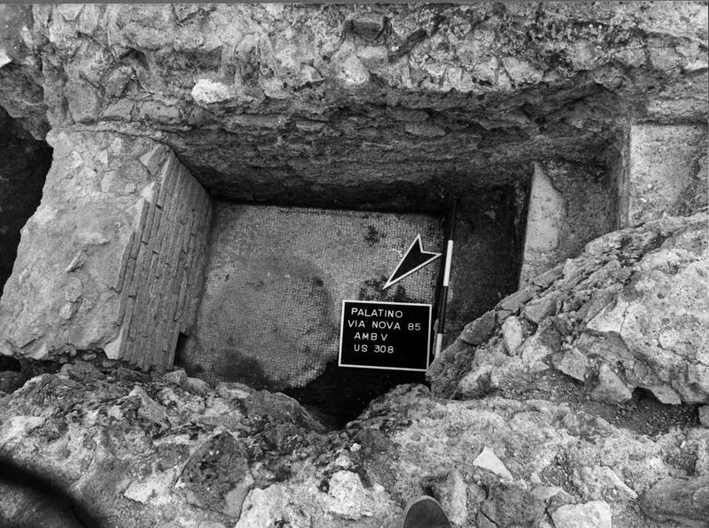 VN-V019-asf009134.jpg