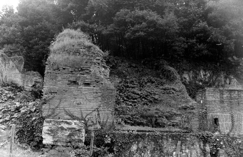 VN-VII001-asf009182.jpg