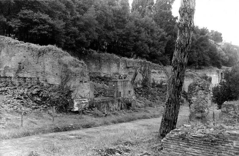 VN-VII002-asf009183.jpg