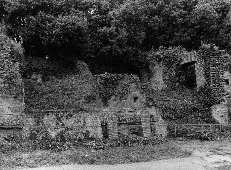 VN-VII005-asf009186.jpg