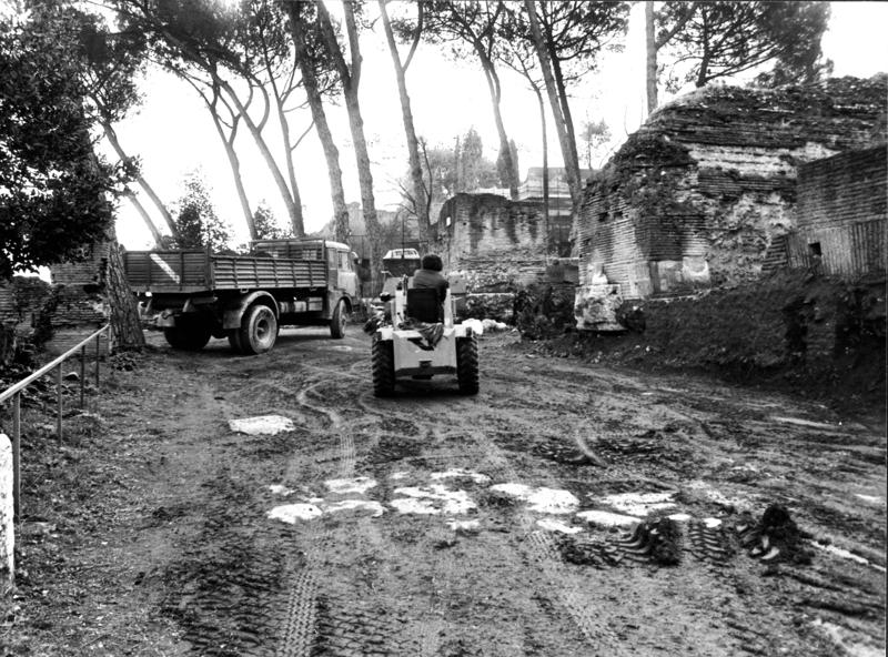 VN-VII006-asf009187.jpg