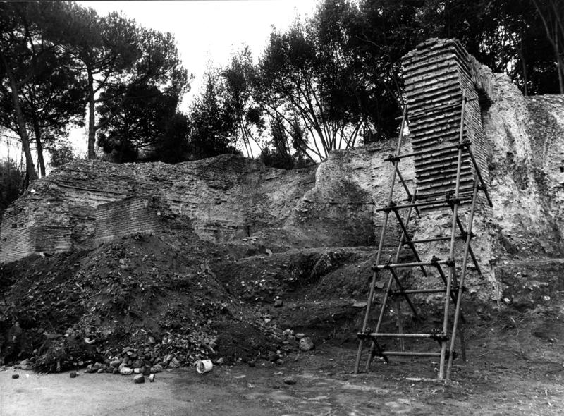 VN-VII009-asf009190.jpg