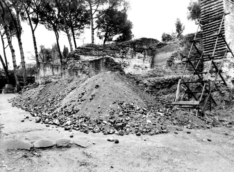 VN-VII010-asf009191.jpg