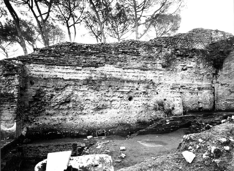 VN-VII012-asf009193.jpg