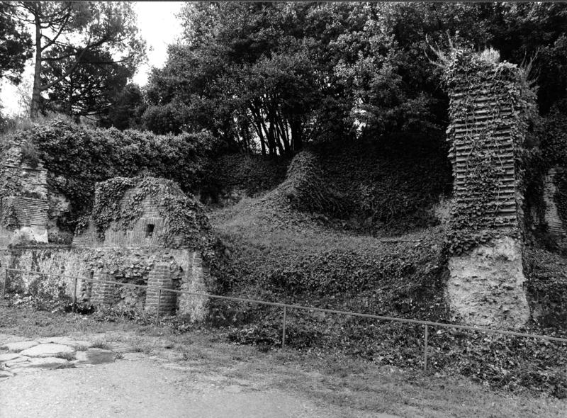 VN-VIII001-asf009204.jpg