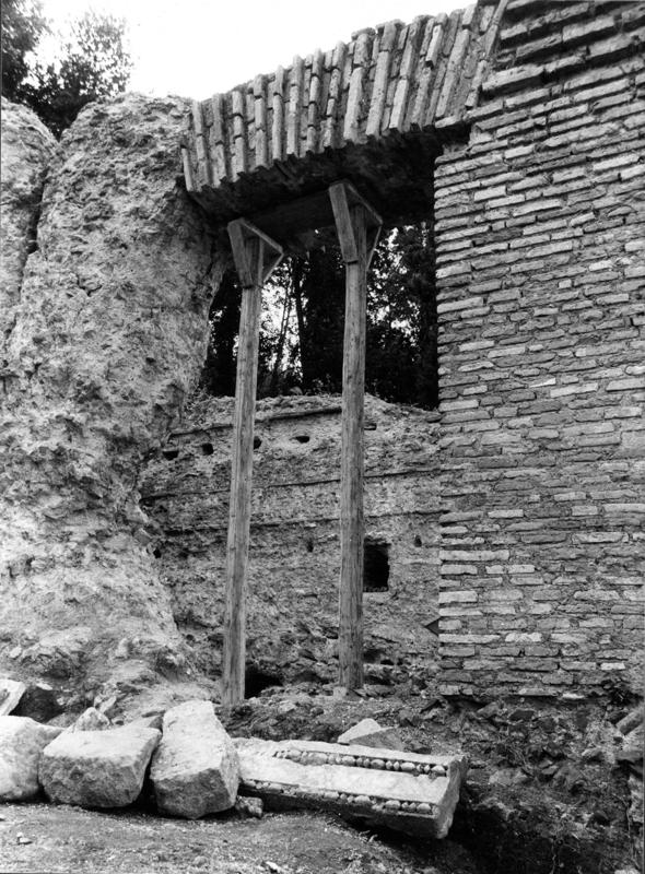 VN-VIII003-asf009206.jpg