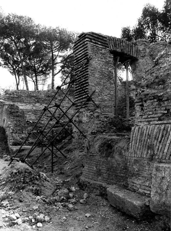 VN-VIII004-asf009207.jpg