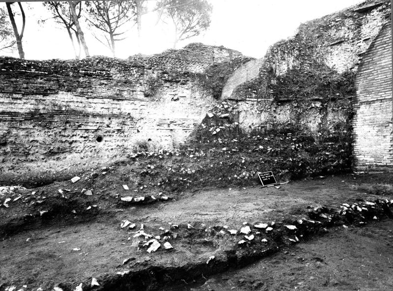 VN-VIII006-asf009209.jpg