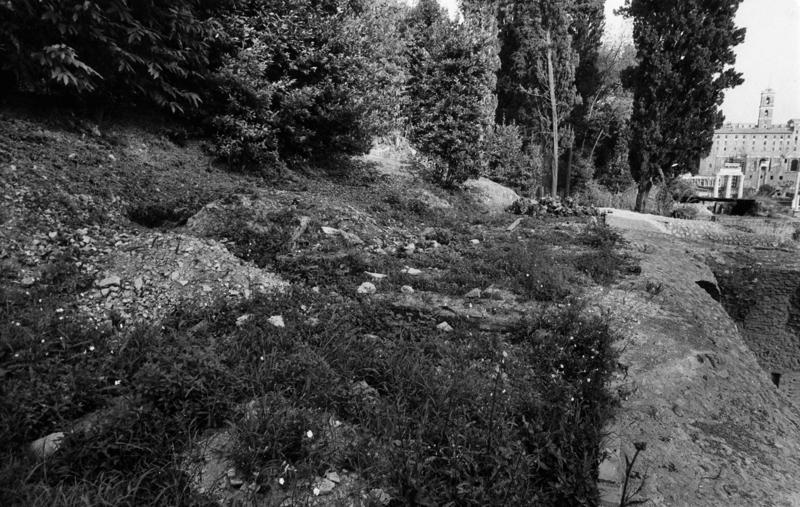 VN-VIII010-asf009213.jpg