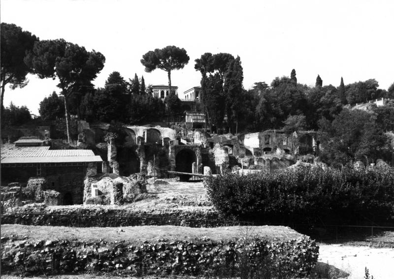 VN-VIII012-asf009217.jpg